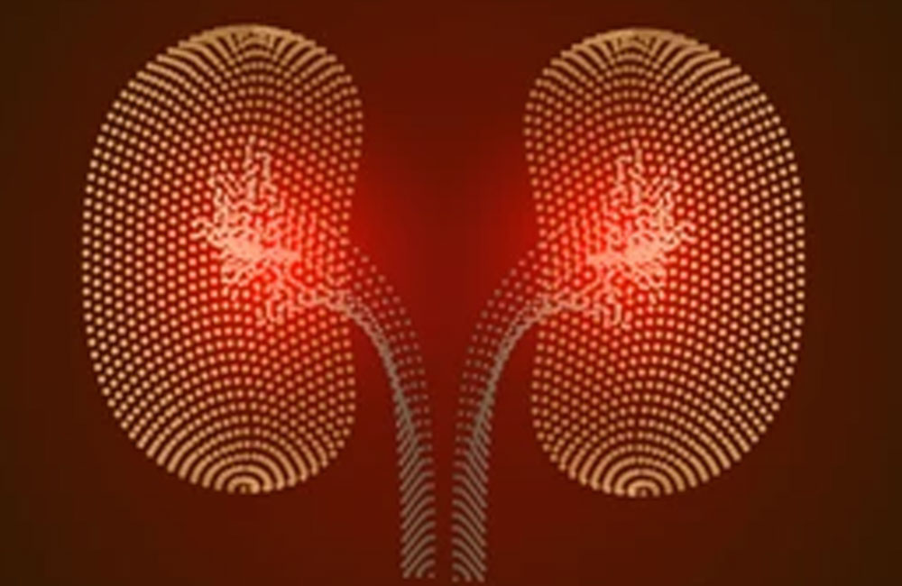 10 signs of kidney disorder - you must not ignore