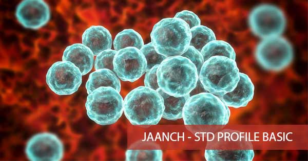 Jaanch - STD Profile Basic